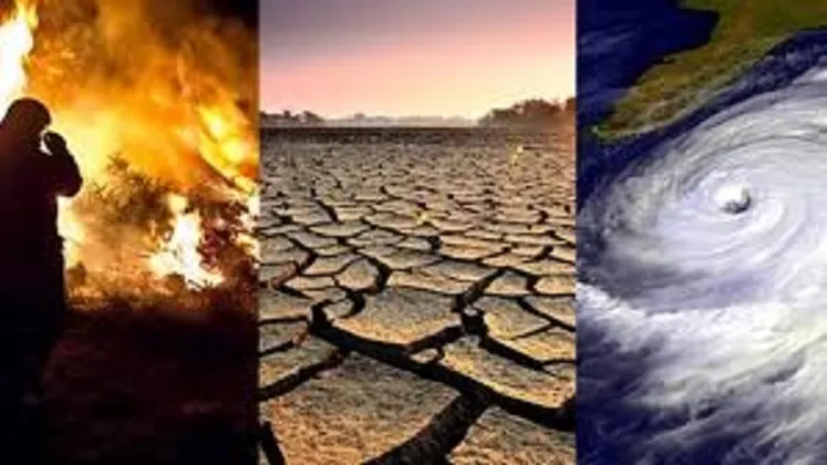 Cea mai călduroasă iarnă a Europei. Avertismentul specialiștilor despre temperaturile de vară