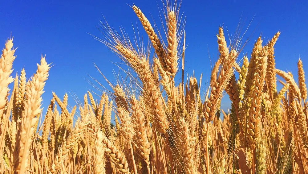 PER cere ieşirea din “carantină” a Ministerului Agriculturii