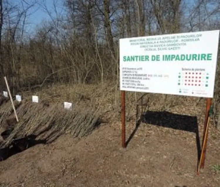 S-a dat startul campaniei „O pădure cât o țară”
