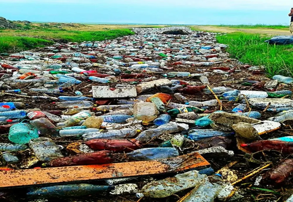 FOTO VIDEO | Natura înapoiază gunoaiele! Pârâu acoperit de PET-uri