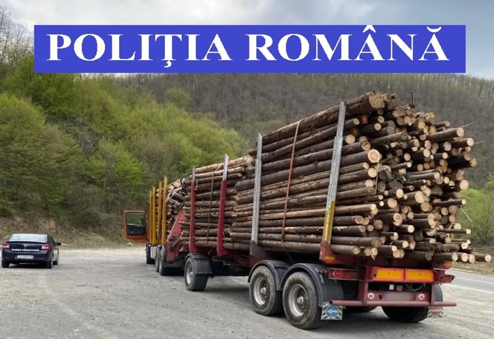 FOTO | Acţiune a poliţiştilor clujeni pentru protejarea pădurilor