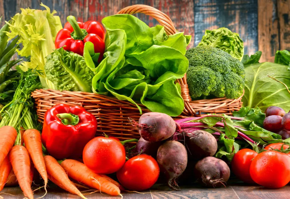 Universitatea de Științe Agricole deschide un Agrovillage în Timișoara
