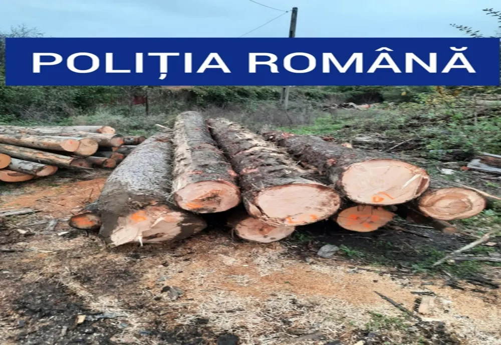 Amendă de 5.000 de lei pentru un operator economic din Sfântu Gheorghe