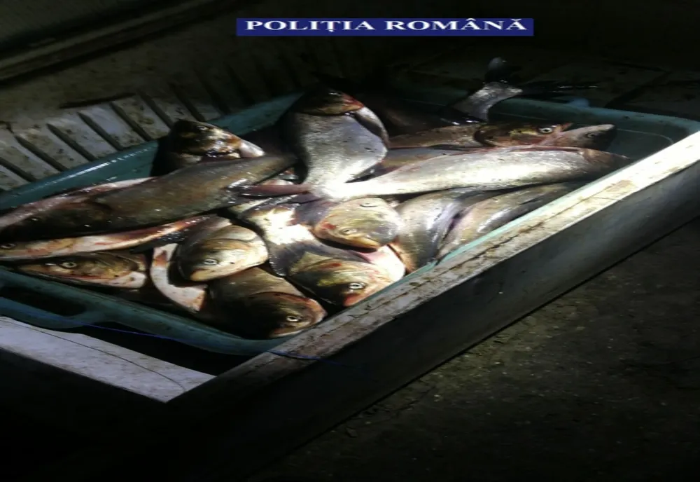 Giurgiu. Cinci bărbați reținuți pentru braconaj piscicol