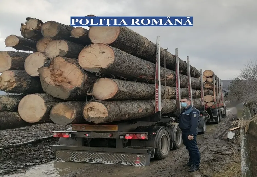 Poliţiştii buzoieni au desfăşurat activităţi de verificare a legalităţii operaţiunilor desfăşurate cu materiale lemnoase  