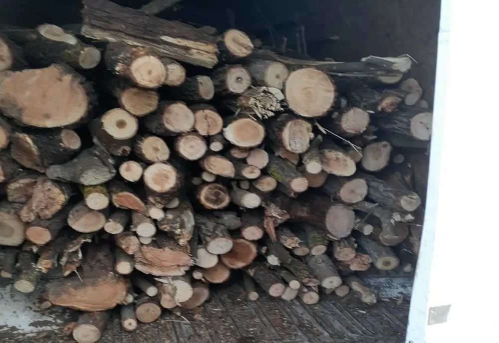Amnezi de de 25.000 de lei aplicate de poliţiştii  Biroului pentru Protecția Fondului Forestier și Piscicol