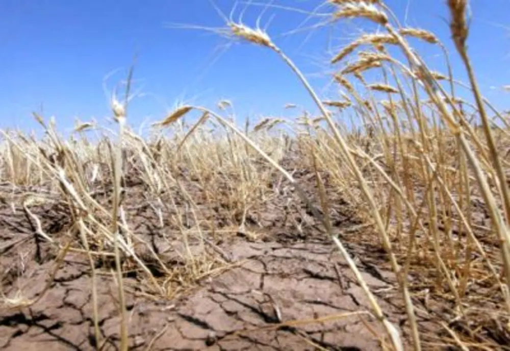 PER: Vrem sa vedem premierul, pe ministrul agriculturii şi prefectii preocupati de subiect! Schimbarile climatice ne-au adus in acest punct de rationalizare a apei...