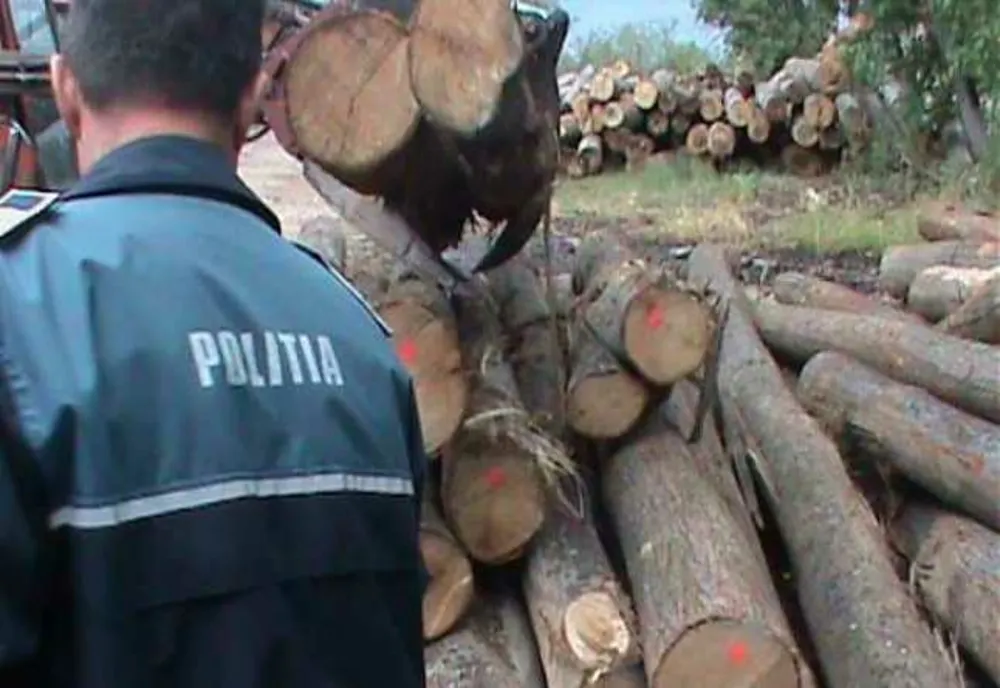 Polițiștii din Suceava cer să fie motivați cu un procent din valoarea lemnului pe care îl confiscă în trafic