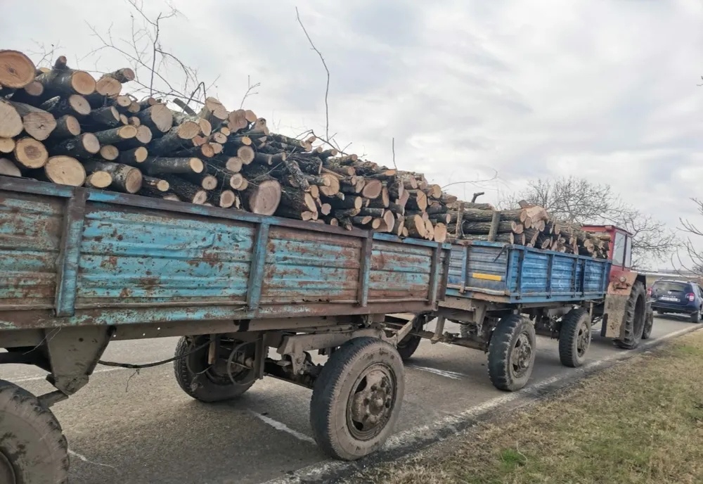 Transport ilegal de lemne interceptat de Poliția Brâncovenești! Şoferul a refuzat cântărirea ansamblului auto