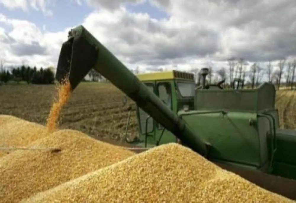 Președintele PER, Dănuț Pop, cere interzicere importului de cereale ucrainene