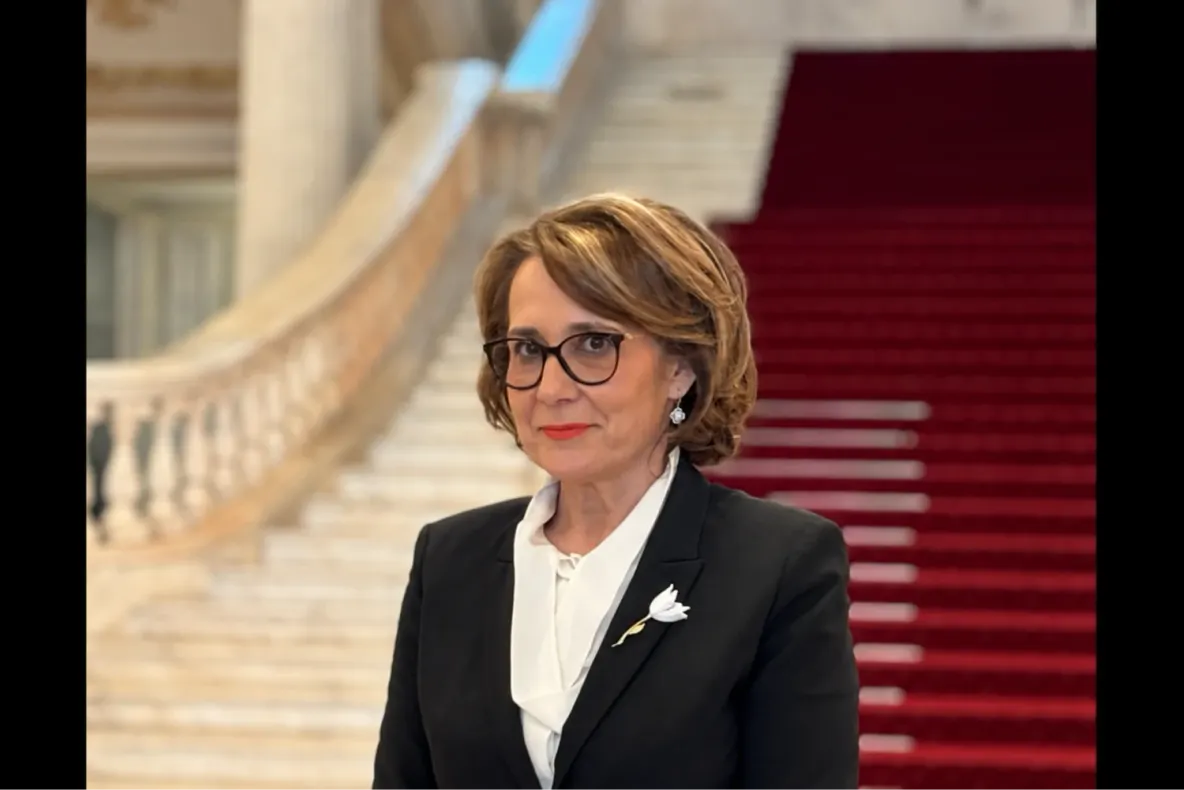 Nicoleta Pauliuc (PNL) propune nouă amendamente pentru limitarea mandatelor șefilor SRI, SIE și ai altor structuri de securitate