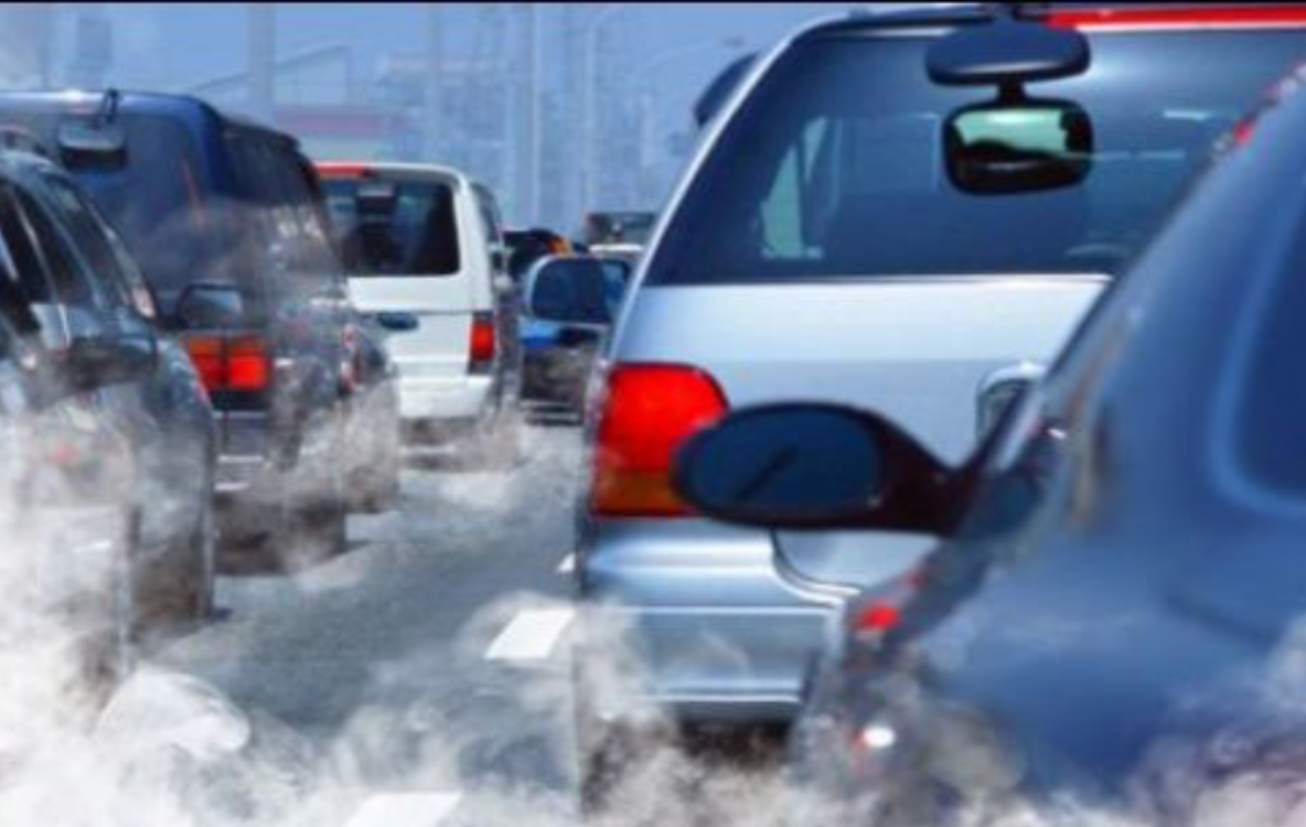 Partidul Ecologist critică abrogarea Taxei Oxigen