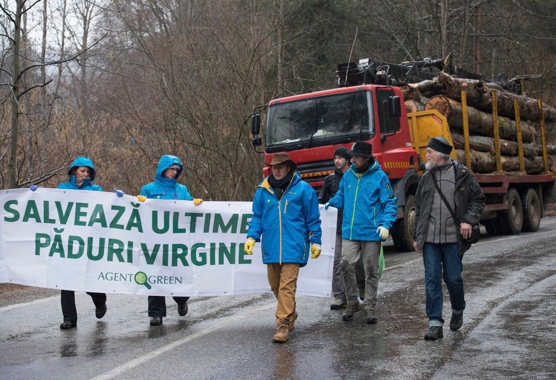 Ping-Pong pe defrișări. Ecologiștii zic că da, ministrul zice ba