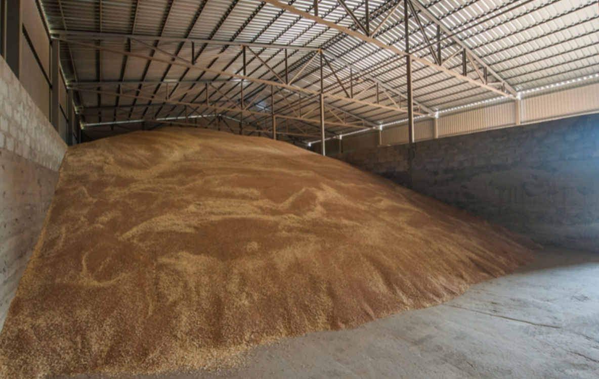 Partidul Ecologist Român solicită Guvernului restricționarea exportului de cereale pentru acest an