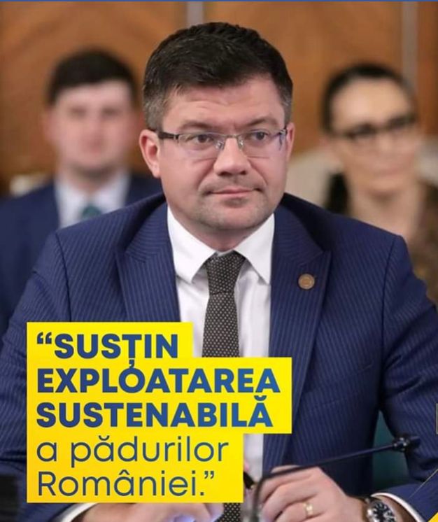 În plină ordonanță militară 7, hoții de cherestea își fac de cap în Bistrița
