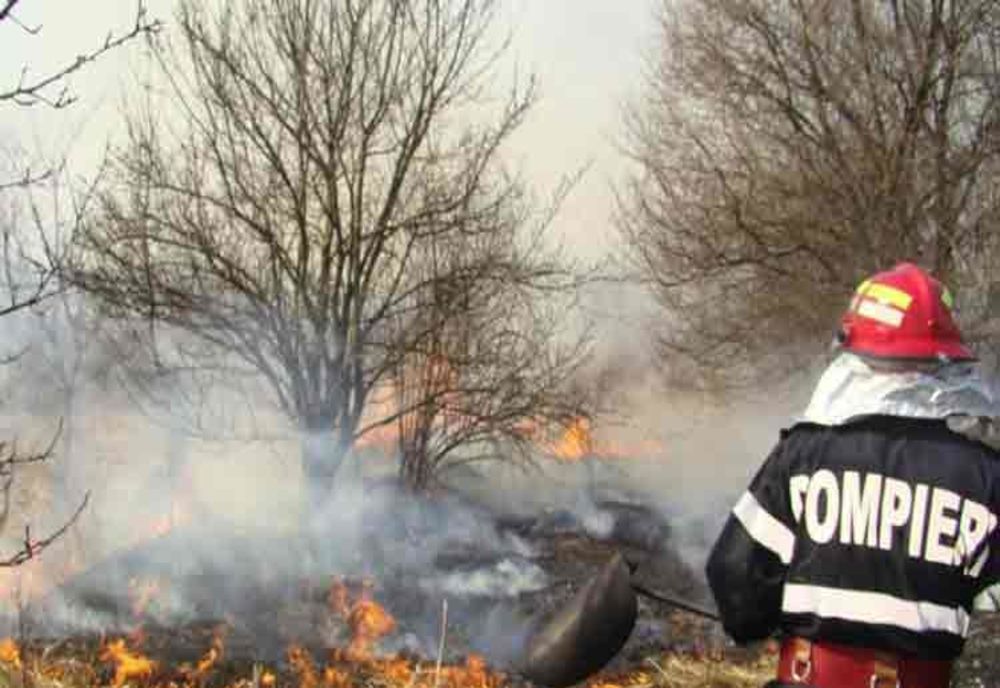 Peste 50 de hectare de păşune şi pădure din comuna Borca ard de aproape 24 de ore