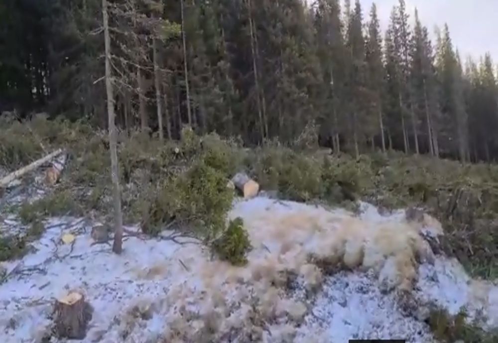 PER Gorj solicită prefectului să trimită corpul de control la Romsilva 