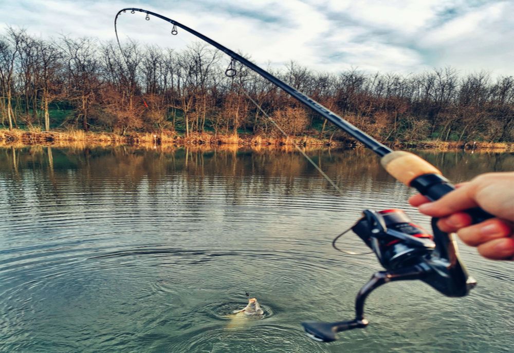 Fără alcool, grătare și socializare pe baltă. Pescarii, obligați să stea la 10 metri distanță unul față de altul