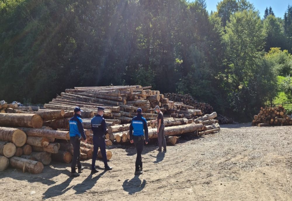 Amenzi de 10.000 lei și peste 31 mc de lemn, confiscați de polițiștii din Bistrița-Năsăud