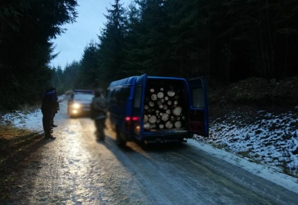 Jandarmii din Harghita au amendat cu 1.000 de lei un bărbat care transporta, ilegal, lemne!