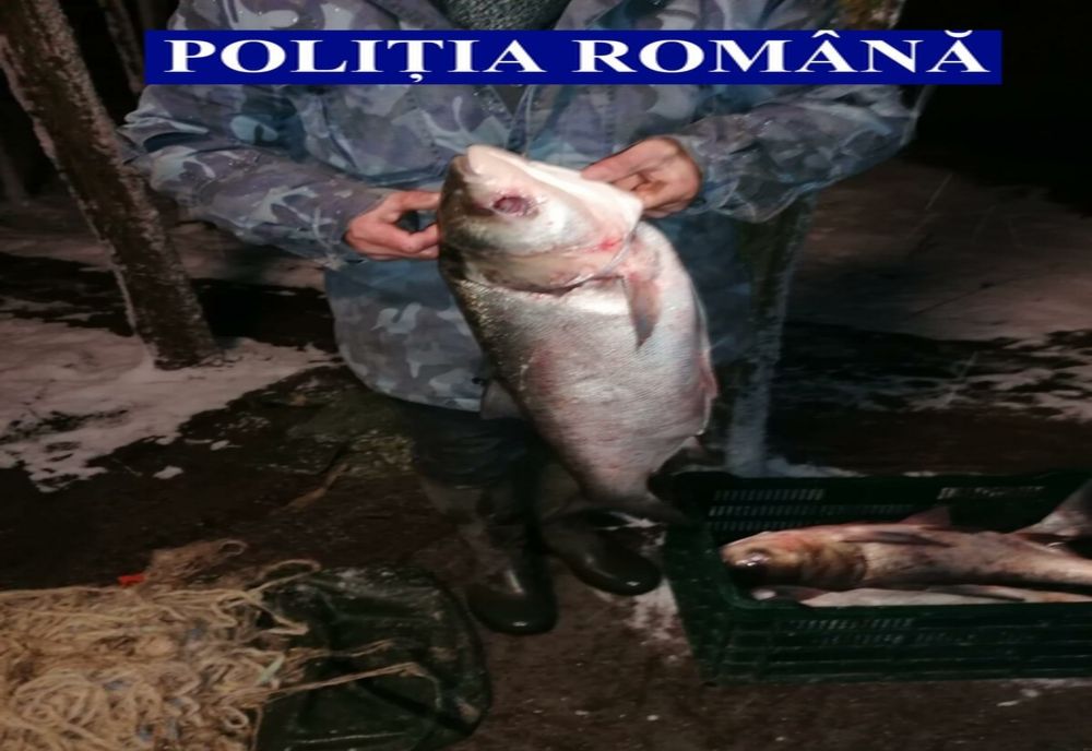 Braconier prins în flagrant  în apropiere de Slobozia