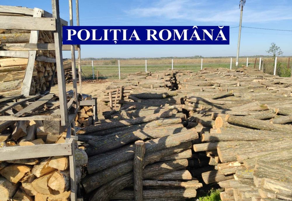 Amenzi de 7.000 de lei pentru transport ilegal de lemne