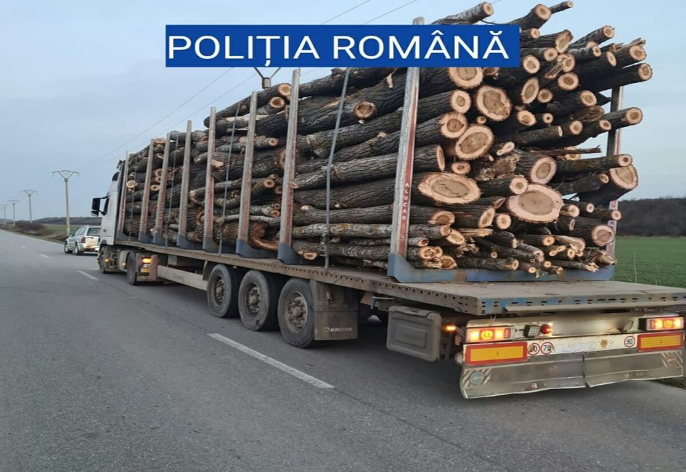 Transporturi ilegale de lemne, în Olt. Ce au făcut poliţiştii