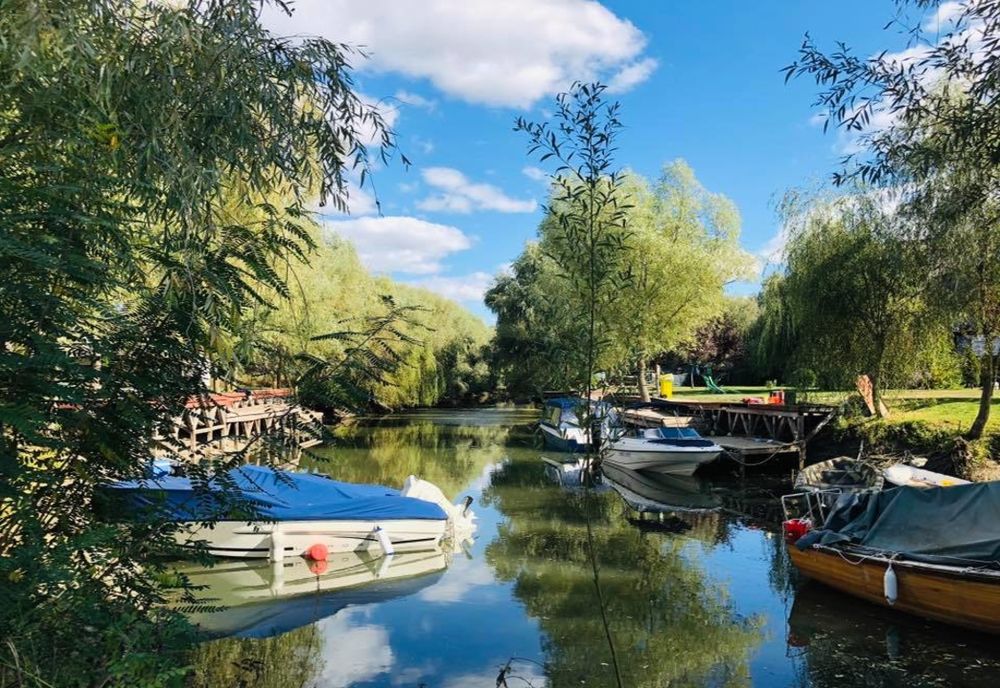    A început prohibiția la șalău și biban în Delta Dunării