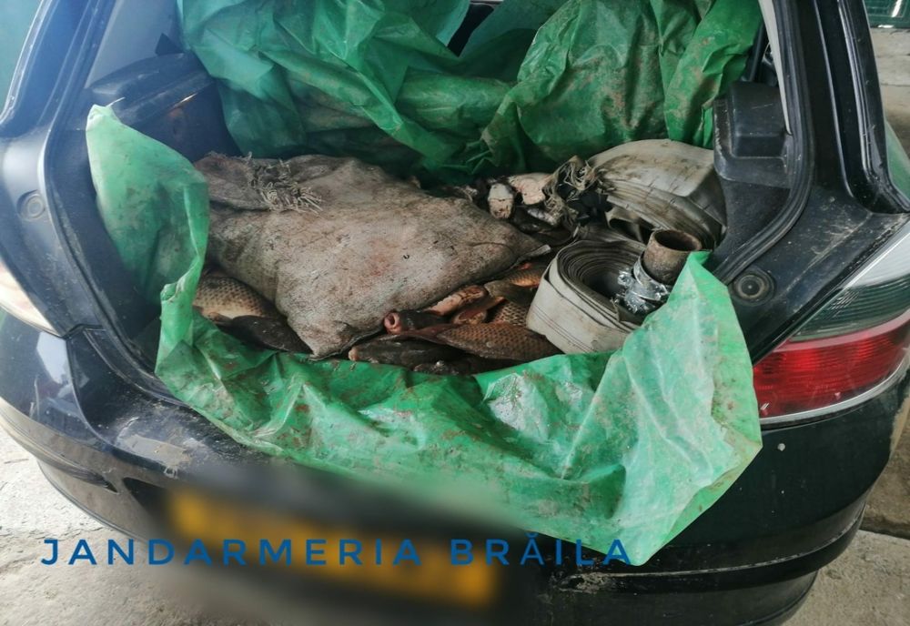 Jandarmii brăileni au acţionat pentru protecţia fondului piscicol