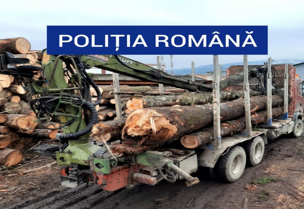 Polițiștii buzoieni au confiscat în weekend 14 mc de material lemnos