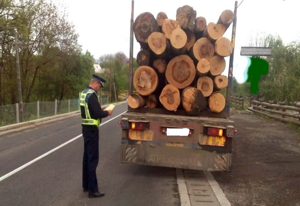 Depistat transportând o cantitate mai mare de material lemnos decât era în acte