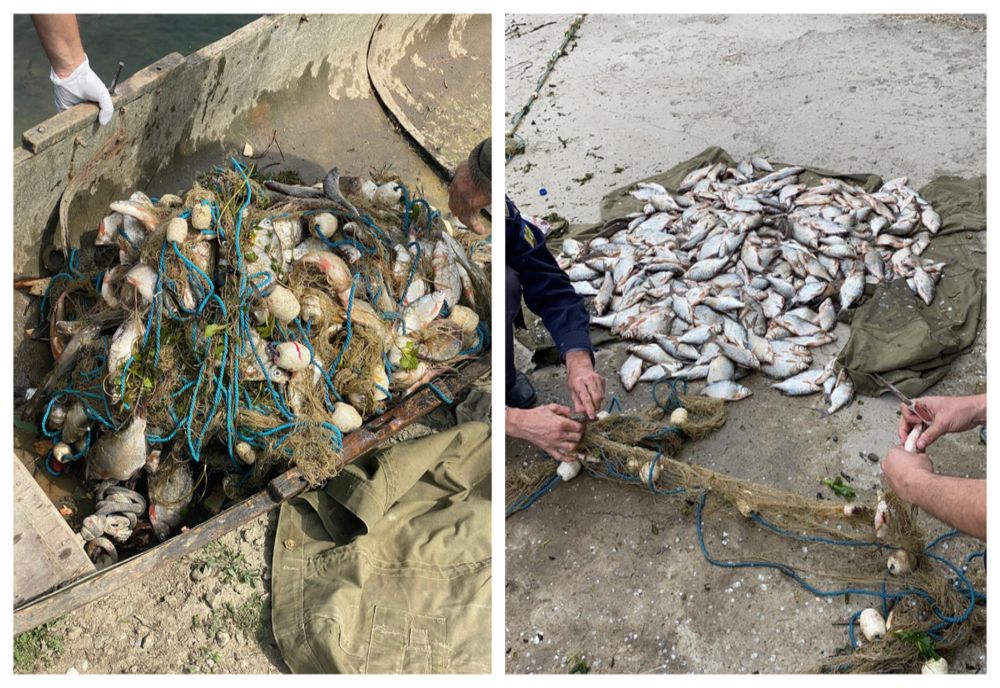 Braconaj pe Lacul Merheiul Mare