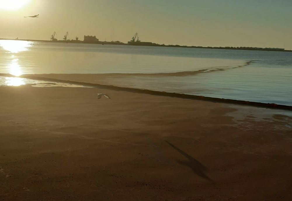 FOTO VIDEO  Damen Mangalia amendat de Garda de Mediu pentru poluare