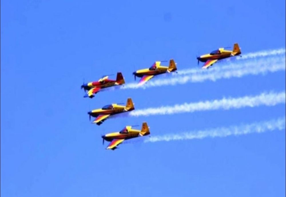 PER solicită Ministrului Apararii respectarea eroilor aviatori români, organizând parada aeriană şi festivitățile planificate cu ocazia Zilei Aviației