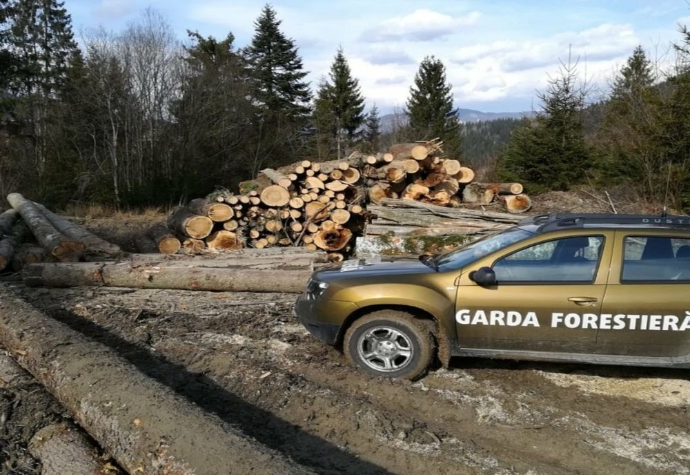 Liderul PER, Dănuț Pop: ”Mafia padurilor a invins oficial la SUCEAVA”