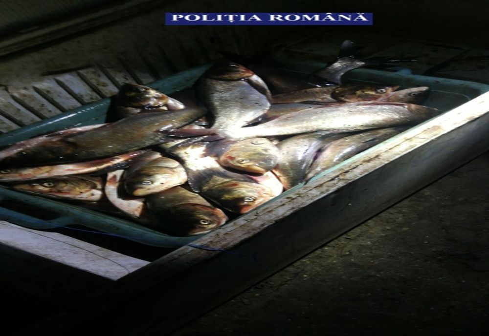 Giurgiu. Cinci bărbați reținuți pentru braconaj piscicol