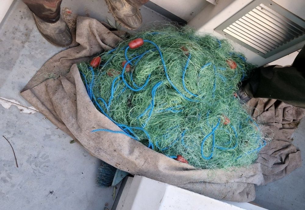 Doi braconieri depistaţi de polițiștii de frontieră brăileni