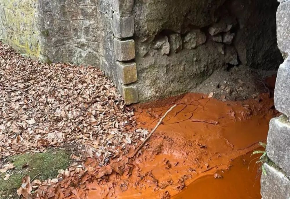 Apele Române: Alertă pe Valea Borod, în judeţul Bihor! Posibilă poluare