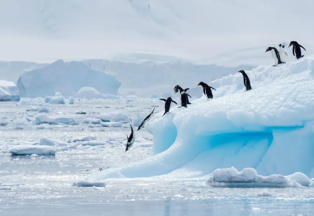 Un iceberg de 175 de kilometri pătrați plutește spre peninsula Antarctica