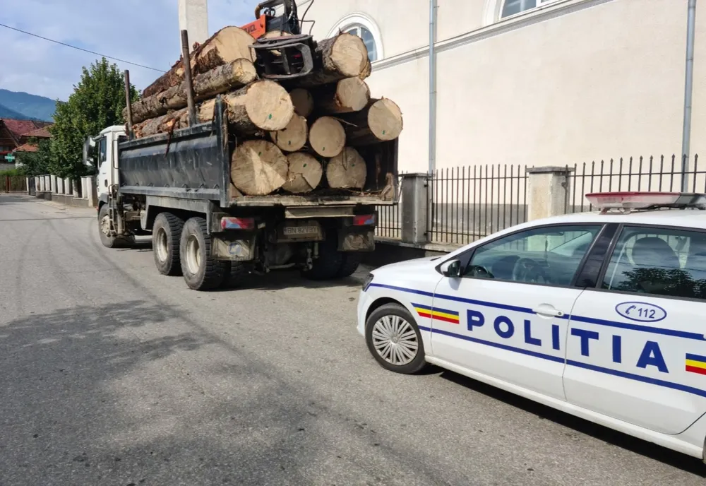 A tăiat ilegal arbori, i-a furat și apoi i-a transportat cu autoutilitara pentru care nu avea permis de conducere