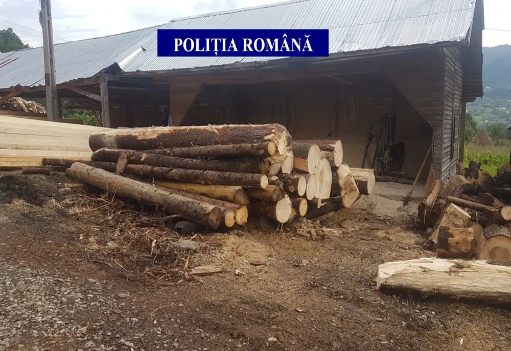 Material lemnos confiscat în Vişeu de Sus
