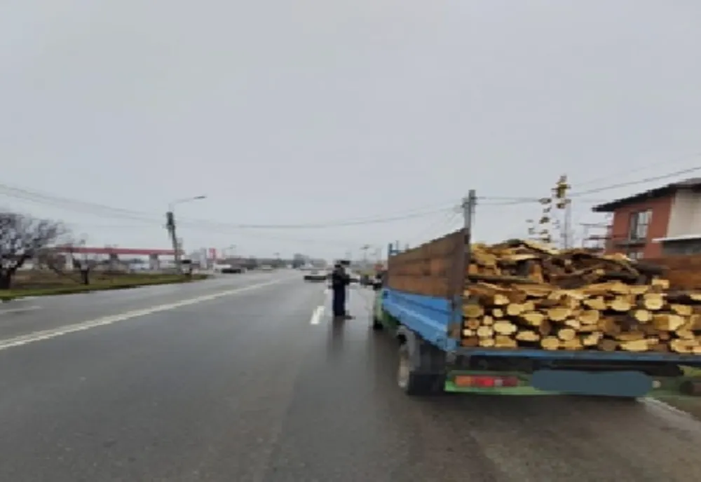 Material lemnos confiscat de polițiștii buzoieni