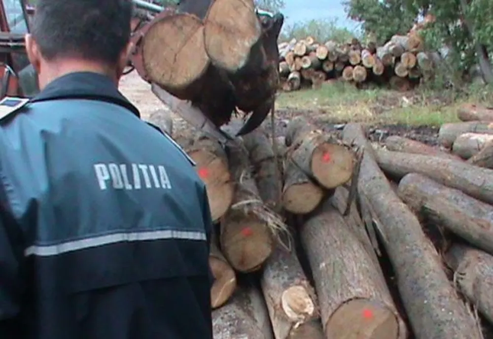 Nereguli silvice sancționate de polițiștii din mediul rural