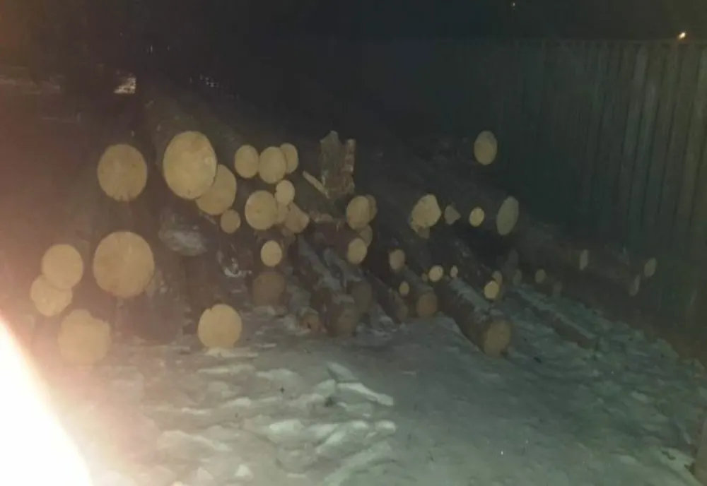 Jandarmii harghiteni au confiscat 7 metri cubi de lemne