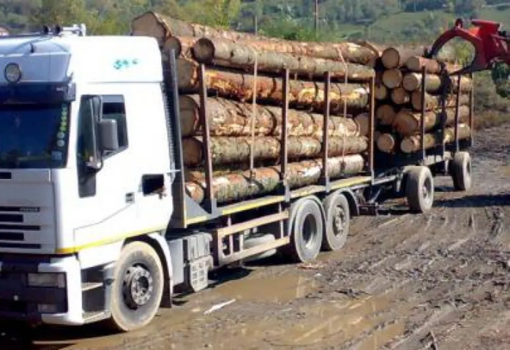 Material lemnos și mașini în valoare de peste 50.000 euro, confiscate de polițiști