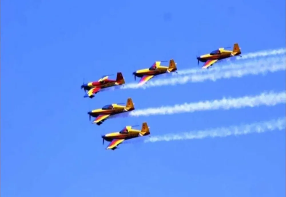 PER solicită Ministrului Apararii respectarea eroilor aviatori români, organizând parada aeriană şi festivitățile planificate cu ocazia Zilei Aviației