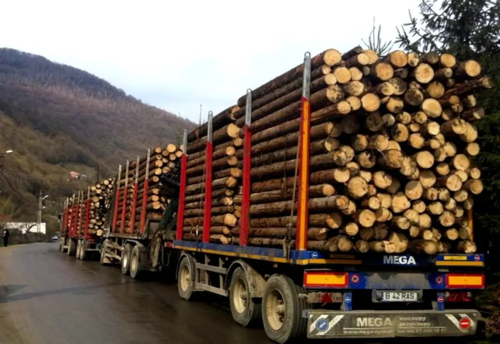 Liderul Partidului Ecologist, revoltat de ce se întâmplă în păduri: ”Este o mare rușine. Unde este justiția corectă?”