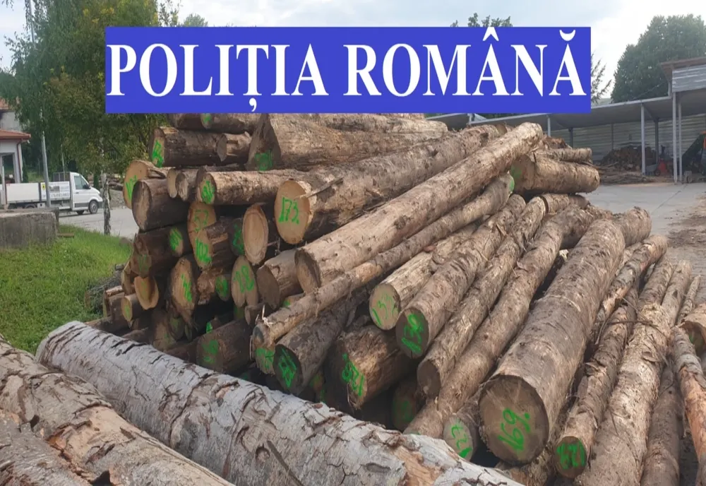 Amenzi uriașe pentru transporturi ilegale de lemn