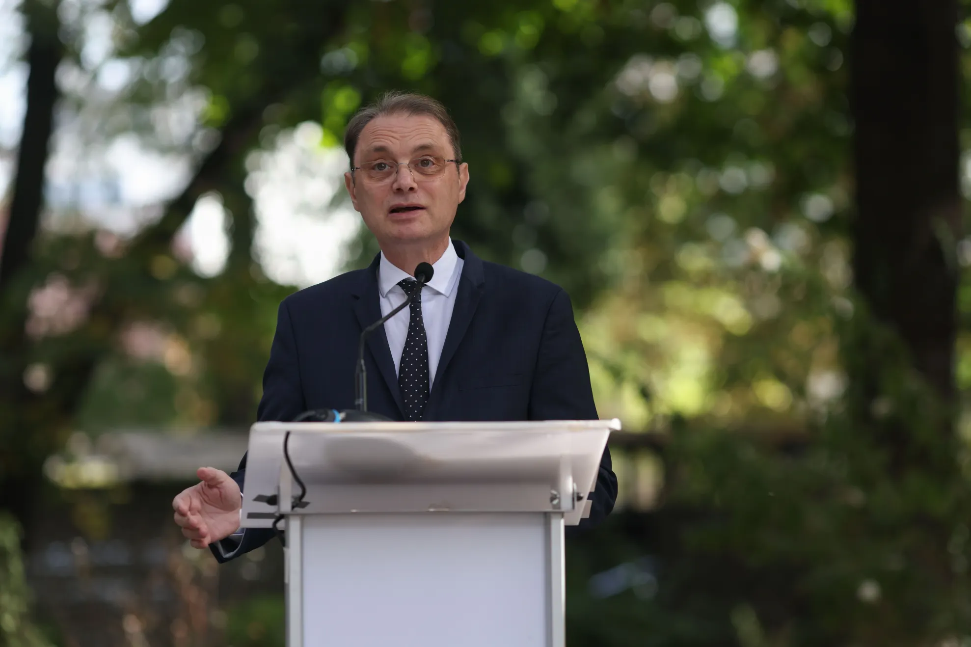Luca Niculescu (Inquam Photos/George Calin)