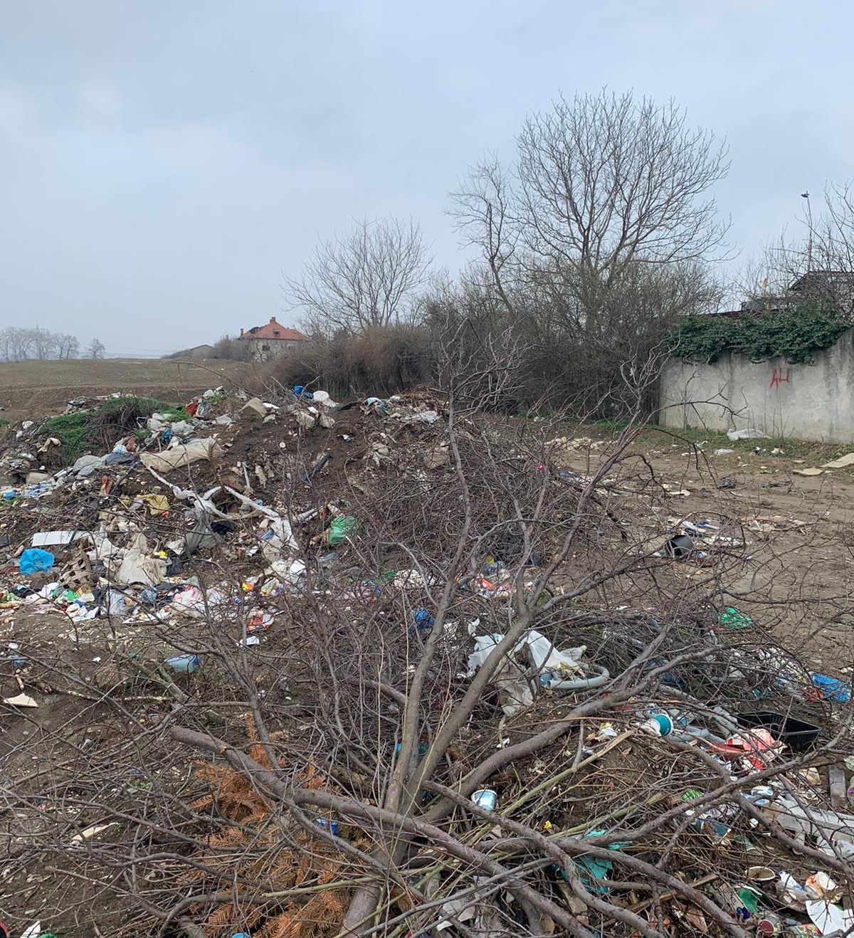 58BEC8FC-9938-466B-A729-FC5C0965C092